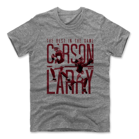 Mens Men's Premium T-Shirt Heather Gray