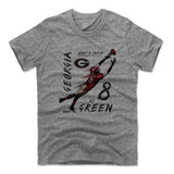 Mens Men's Premium T-Shirt Heather Gray