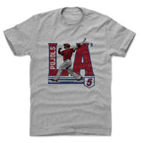 Mens Cotton T-Shirt Heather Gray