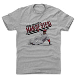 Mens Cotton T-Shirt Heather Gray